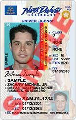 That means my id should be a vertical fake id. Nddot Current Drivers License And Non Driver Id