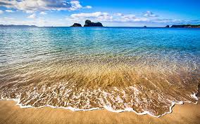 Hd Wallpaper Beach On The Coromandel Peninsula New Zealand Desktop Wallpaper Hd Free Download 3200 2000 Wallpaper Flare Typical setting for a christmas dinner in new zealand. wallpaperflare
