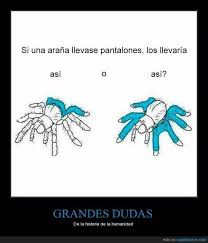 Si Una Arana Llevase Pantalones Imperfecto Del Subjuntivo Condicional Visit Http Www Estudiafeliz Com F Memes Nuevos Memes Divertidos Chiste En Espanol