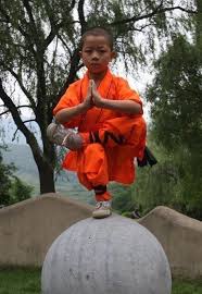 Black Swan Shaolin Kung Fu Kung Fu Martial Arts Martial Arts