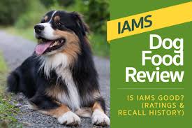 Maybe you would like to learn more about one of these? Iams Dog Food Review Is Iams Good Ratings Recall History