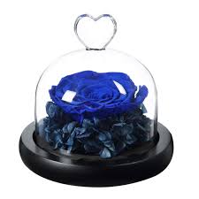 Ordinazione una torta da un negozio di panetteria o di generi alimentari è costoso, e torte creative in forme uniche e colori sono an Fiori Artificiali Regalo Per Il Giorno Dellanniversario Conservato Rosa Regalo Di Compleanno Fiori Freschi Annuncio Di Bellezza The Beast Rose For Girlfriend Anlunob Rosa Incantata Fatta A Mano Per Sempre Rosa Casa