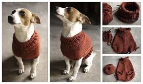 Hundreds of free patterns to knit and crochet! Knit The Juno Dog Jumper Free Knitting Pattern Diy Magazine