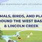 WaterMarks Walk: Animals, birds, & plants around event image