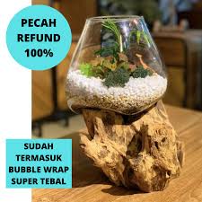 Ini menunjukkan akan banyaknya pecinta ikan hias yang merajalela di setiap daerah. Akuarium Ikan Cupang Size L Aquascape Aquarium Unik Glasswood Shopee Indonesia