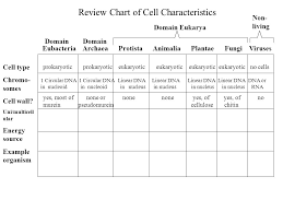 Taxonomy And Classification Of Microbes Especially