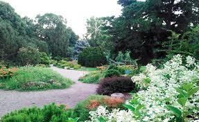 The garden is 1.5 acres in size with a designated all american rose selections test rose garden area. Mini Garden Getaways At Our Fingertips Lavender Magazine