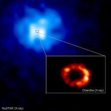 Nov 18, 2014 · supernova 1987a, which is shown at the top of the page, is close enough to continuously observe as it changes over time, thus greatly expanding astronomers' understanding of this fascinating phenomenon. Chandra Photo Album Supernova 1987a February 23 2021