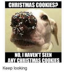 So she asked mom the same question in another room, and got the same answer. Christmas Cookies No I Havent Seen Any Christmas Cookies Christmas Meme On Me Me