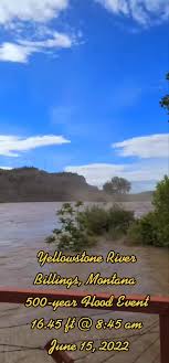 Margaret F. Pegues (@wrnglr2)