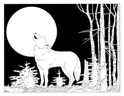 Hand drawn black and white gradient color ferocious wolf. Learn How To Draw A Wolf Howling At The Moon Step By Step