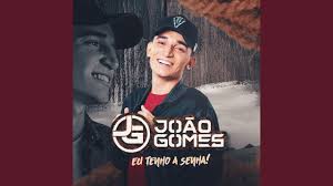 Baixar músicas de vaquejada gratis. Baixar Que Nem Vovo Joao Gomes Em Mp3 Casa Das Musicas