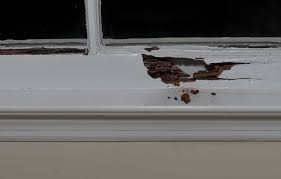 All of the components are rot resistant and carry a 25 year warranty! Water Damage Window Sill