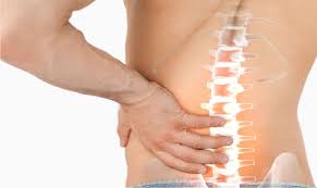 Pain in the lower back or low back pain is a common concern, affecting up to 80% of americans at some point in their lifetime. How Iliopsoas Might Be Related To Your Back Pain 3d Muscle Lab