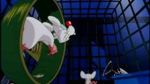 It was the first animated television series to be presented in dolby surround and the fourth collaboration of steven spielberg with his production company, amblin entertainment, and warner bros. Pinky And The Brain Intro Youtube