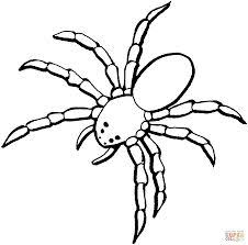 Download or print the coloring pages you like; Resultado De Imagen Para Arana Facil De Dibujar Spider Coloring Page Halloween Coloring Pages Animal Coloring Pages