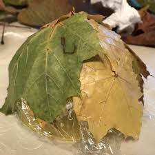 Dabei leben kinder beim basteln ihre kreativität aus, und. Mamamausbasteln Fur Kinder Blatter Schale Mama Maus Blog