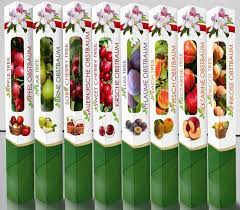 Many of our customers have ordered our bare root fruit trees, berries and other plants either online or through our mail order catalog for many years. Economic Cooperative Wholesale Export And Distribution Of Quality Nursery Plants