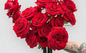 Check spelling or type a new query. Colour Therapy Flowers That Make You Happy Funny How Flowers Do That