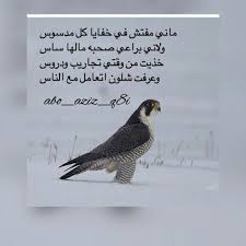 We did not find results for: Ø¨ÙŠØª Ø´Ø¹Ø± Ø¹Ù† Ø§Ù„ØµØ¯Ø§Ù‚Ù‡ ØªÙˆÙŠØªØ± Shaer Blog
