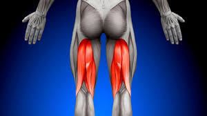 Image result for Hamstring Strain
