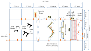 New Army Pt Standards Fitness Nutrition 2019 11 09