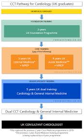 Feb 09, 2021 · a heart surgeon starts with four years of college followed by four years of medical school. Become A Cardiologist In The Uk A Comprehensive Guide For Imgs The Savvy Img