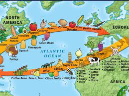 The columbian exchange was a dramatically widespread exchange of animals, plants, culture, human populations explorers returned to europe with maize, potatoes, and tomatoes, which columbian exchange — die bezeichnung columbian exchange wird verwendet, um den enormen. How Nonhuman Life Forms Can Change The Course Of History