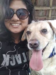 Dog Breed Rival Border Collies Border Collie Kennels New Arrivals