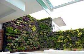 Commercial Green Wall