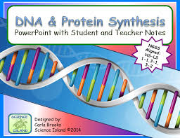 Dna And Protein Synthesis Powerpoint And Notes Print And Digital Powerpoint Lesson Secondary Science Classroom Biology Resources