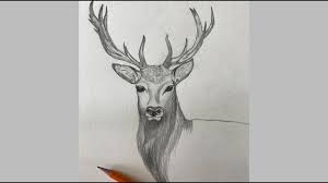 We did not find results for: Sketch Challenge Week 15 Stag Pencil Drawing Sketching Realistic Deer Youtube