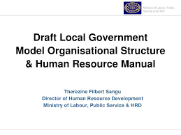 Ppt Draft Local Government Model Organisational Structure