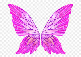 Butterfly Wing Drawings Download Winx Club Wings Png Free Transparent Png Clipart Images Download Find images of butterfly drawing. butterfly wing drawings download winx