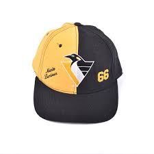 Supporting mobile, iphone, ios, laptop, tablet and chromecast. Pittsburgh Penguins Official Nhl Mario Lemieux 66 Snapback 39 00