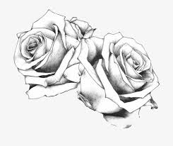 See more ideas about flower drawing, retro flowers, how to draw hands. Tattoo Drawing Art Rose Flash Bundle Of Roses Drawing Free Transparent Png Download Pngkey