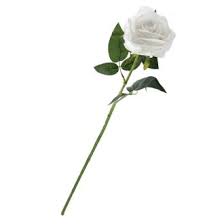 Outdoor artificial plants are weatherproof and uv treated, they require no water and no sun, the perfect solution for today's climate. White Silk Single Long Stem Rose 30in Royal Imports