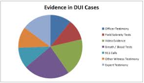 Drunk Driving Pie Chart Www Bedowntowndaytona Com