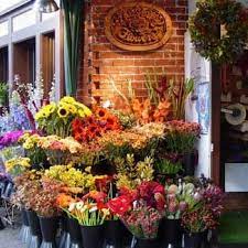 Maybe you would like to learn more about one of these? Mill Valley Flowers 54 Throckmorton Ave Mill Valley Ca 94941