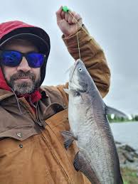 Fresh catfish cooking and fishing experiences