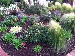 California Large Backyard Designs Without Grass Google Search Small Front Yard Landscaping Front Yard Landscaping Grasses Landscaping