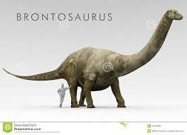 With its ability to carry a platform saddle, the brontosaurus is often considered a must. Dinosaurier Brontosaurus Und Menschen Grossen Vergleich Stock Abbildung Illustration Von Dinosaurier Gigantisch 52490682