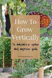 Vertical Gardening Is The Best Way To Grow More Food In A Small Urban Space But It Also Has Other Great Ben Vertical Garden Small Space Gardening Growing Food