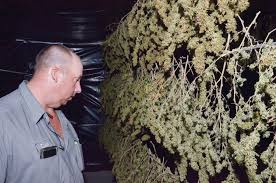 Chatham County Hemp Farmers in the Crosshairs