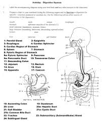 Anatomy & physiology coloring workbook: Anatomy And Physiology Coloring Workbook Answers Best Of Coloring Book World Anatom Body Systems Worksheets Digestive System Worksheet Digestive System Anatomy