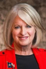 Houston Grassroots Democratic Voter Guide for the May 2024 Elections (Part  1)