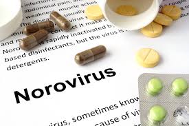 The virus is highly contagious and commonly spread through food or water that is contaminated during preparation or through. Norovirus Everything You Need To Know About The Virus Now Striking China