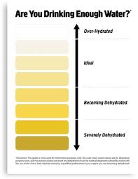 96 pdf printable urine chart printable docx download zip