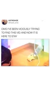 Here S The Strongest Mouse Gerbil Whatever In The World Look At That Strong Mouth Amazing Video Really Funny Memes Cute Funny Animals Crazy Funny Memes
