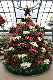 Pin En Navidad